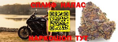 ECSTASY Ирбит