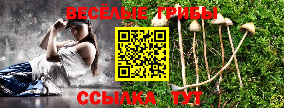 Карпинск  Псилоцибиновые грибы ЛСД  Галлюциногенные грибы мицелий  Вход с VPN 